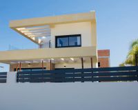 Uusi Rakentaminen - omakotitalo (Villa) - Los Montesinos - La Herrada