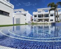Annars vegar - Apartment/Flat - Torrevieja - Los Balcones