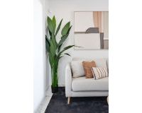 New Build - Apartment/Flat - San Miguel de Salinas