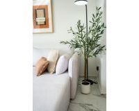 New Build - Villa - Rojales - Ciudad Quesada