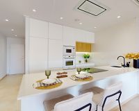 Nueva construcción  - Apartment Penthouse - Guardamar del Segura - El Raso