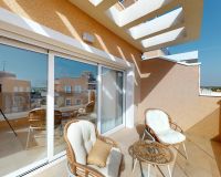 Nueva construcción  - Apartment Penthouse - Guardamar del Segura - El Raso